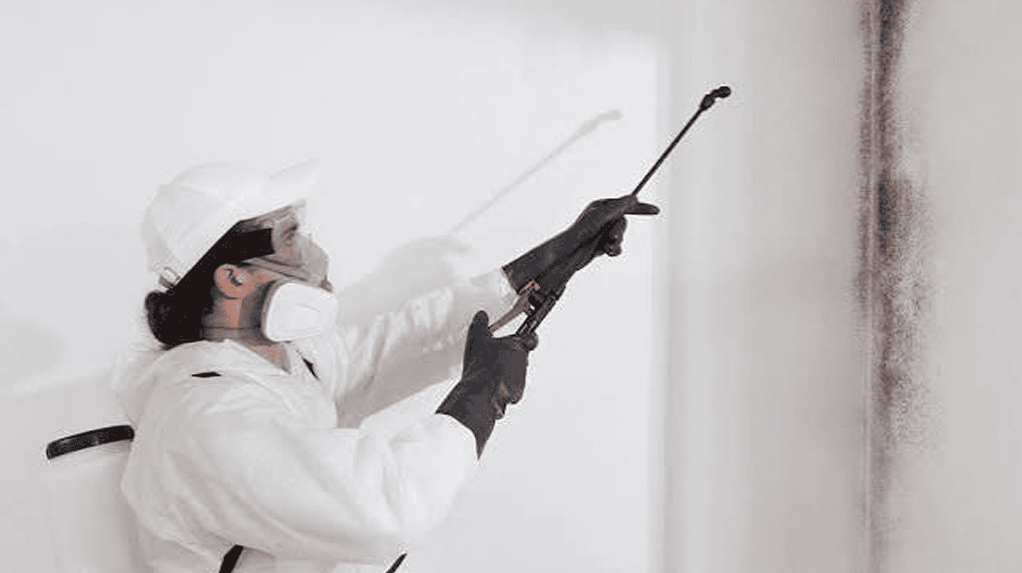 Worker in protective suit spraying mold on wall